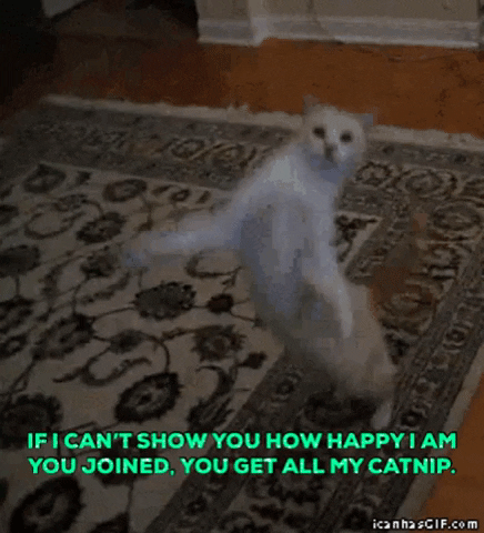 1567635216596.gif