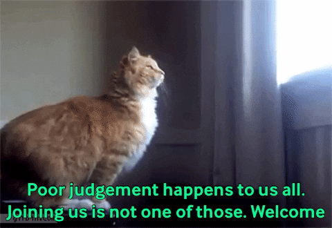 1574474172225.gif