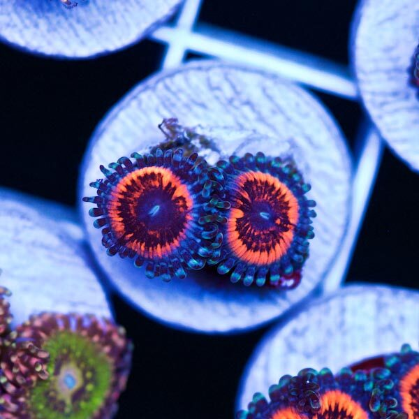 1577725368756.png
