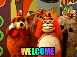 1579481943523.gif