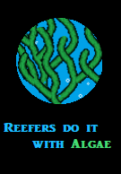 1581367562400.png