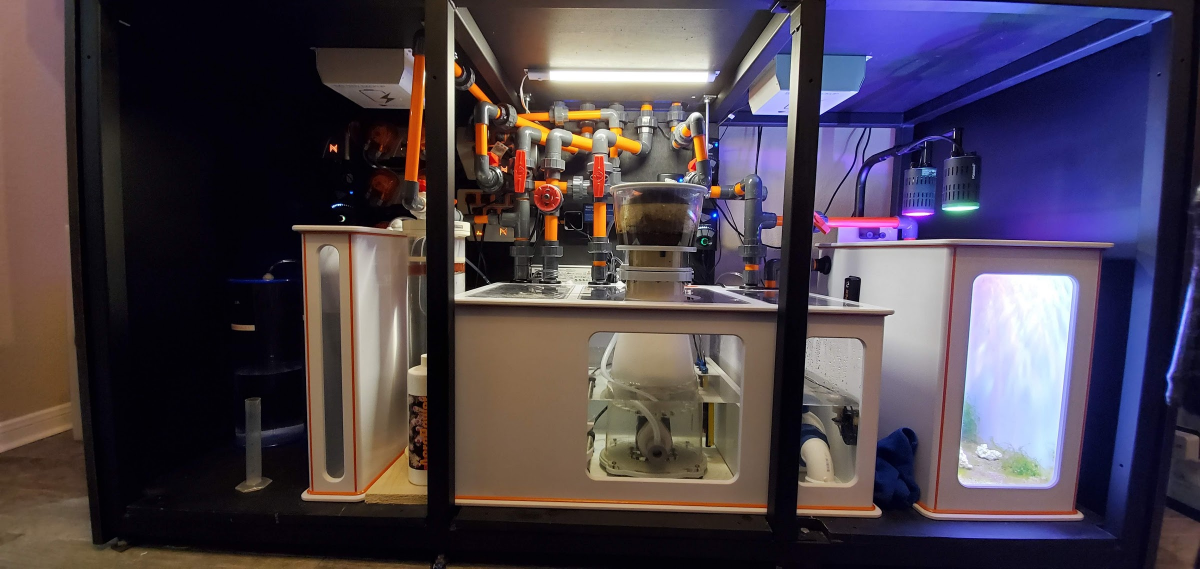 Show me your set up? | Reef2Reef