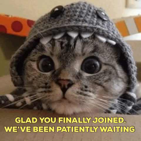 1590287433459.gif