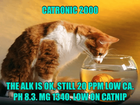 1591391782835.gif