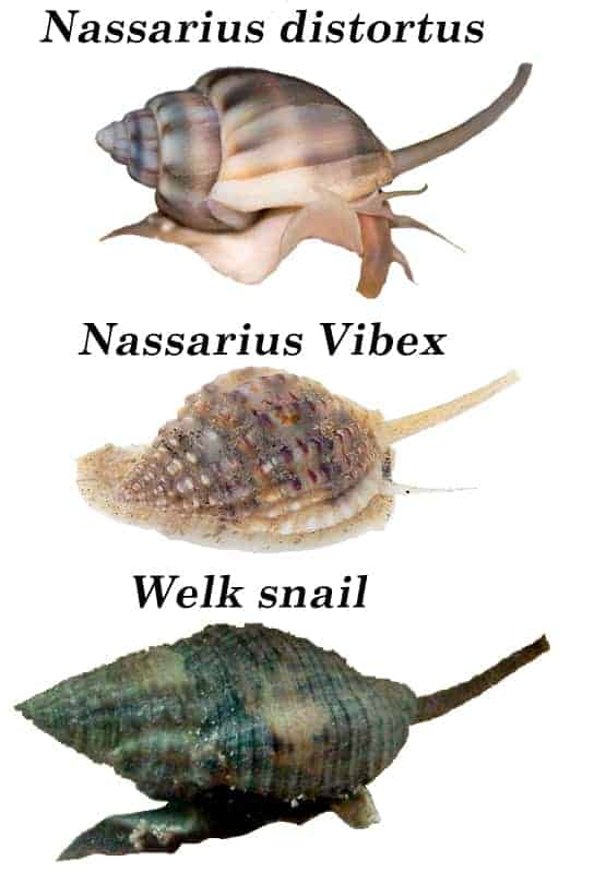 1592486196295.png