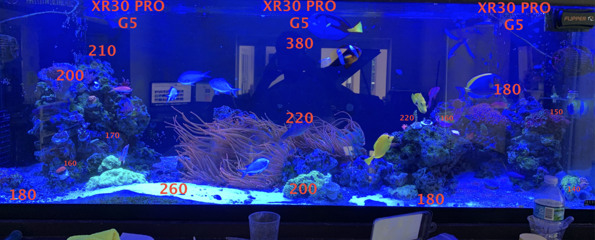 信憑信憑ラディオン G5 プロ 魚用品 | blog.connectparts.com.br