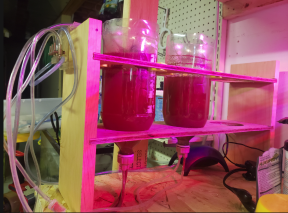 Continuous brine sales shrimp hatchery aquarium