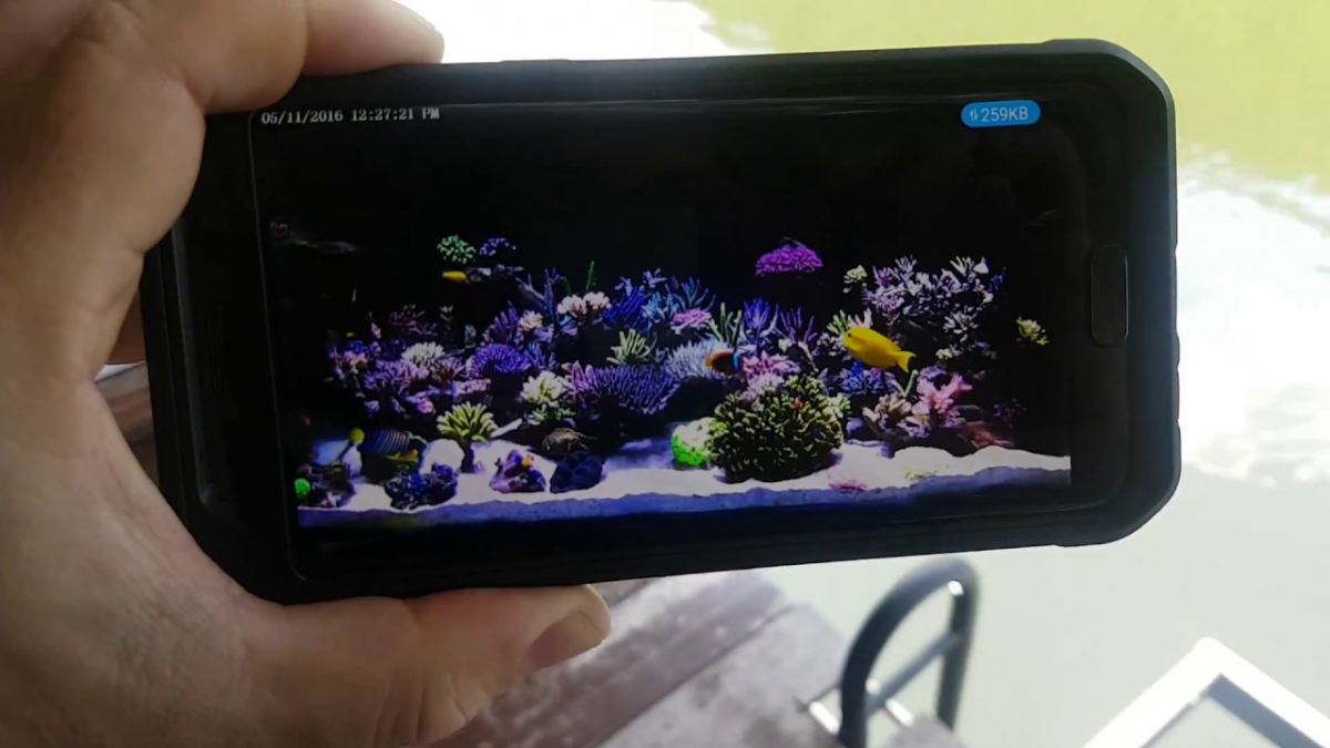 QUESTION OF THE DAY - Put a live camera here on your tank and here and ...