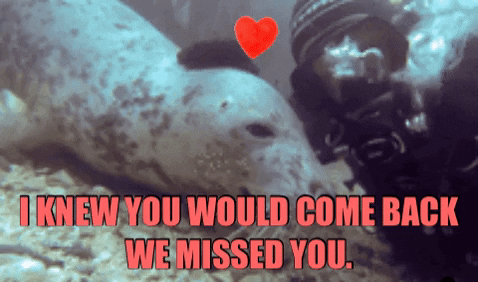 1599609587577.gif