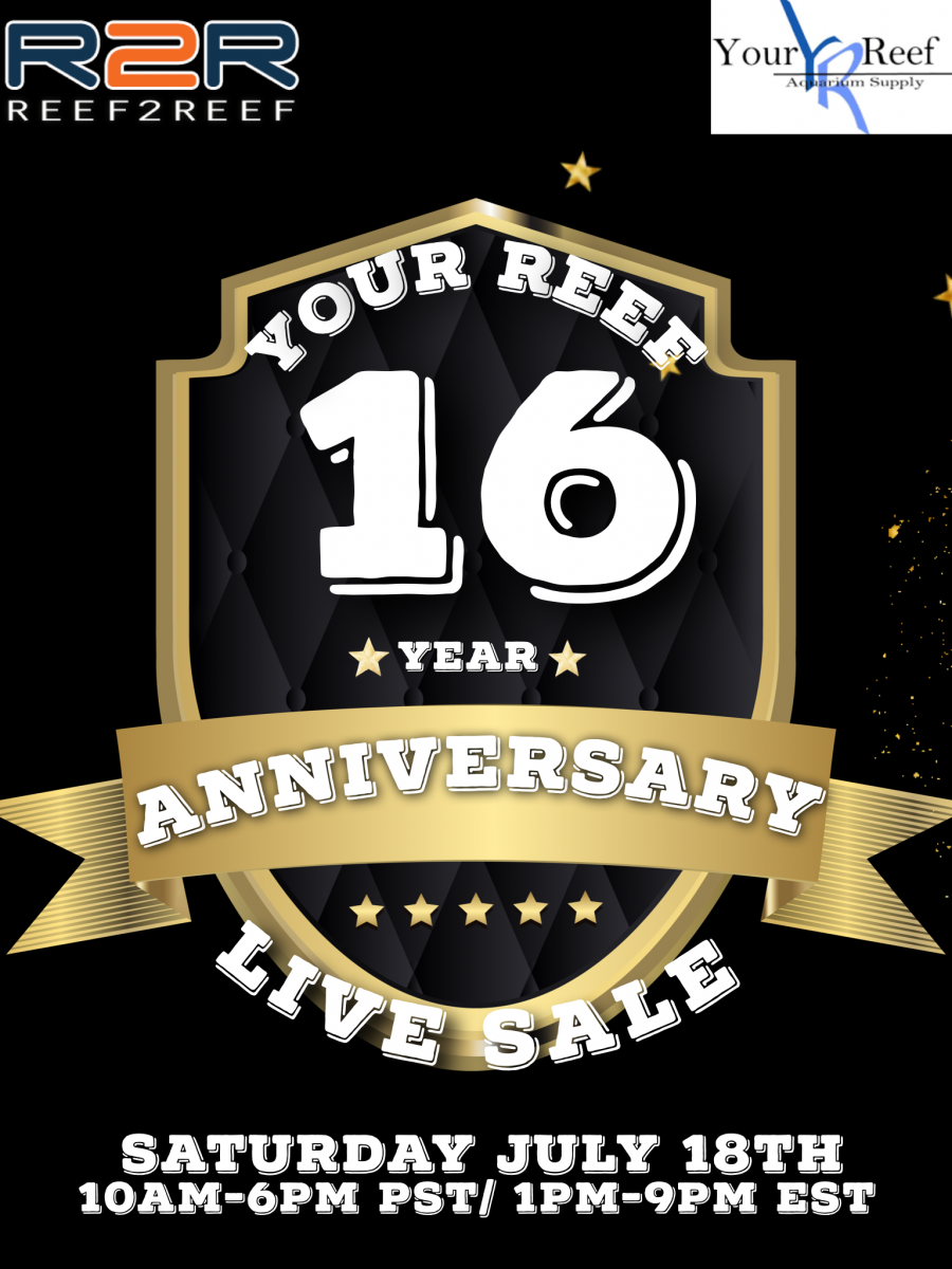 16 year anniversary Live Sale Banner 1.PNG
