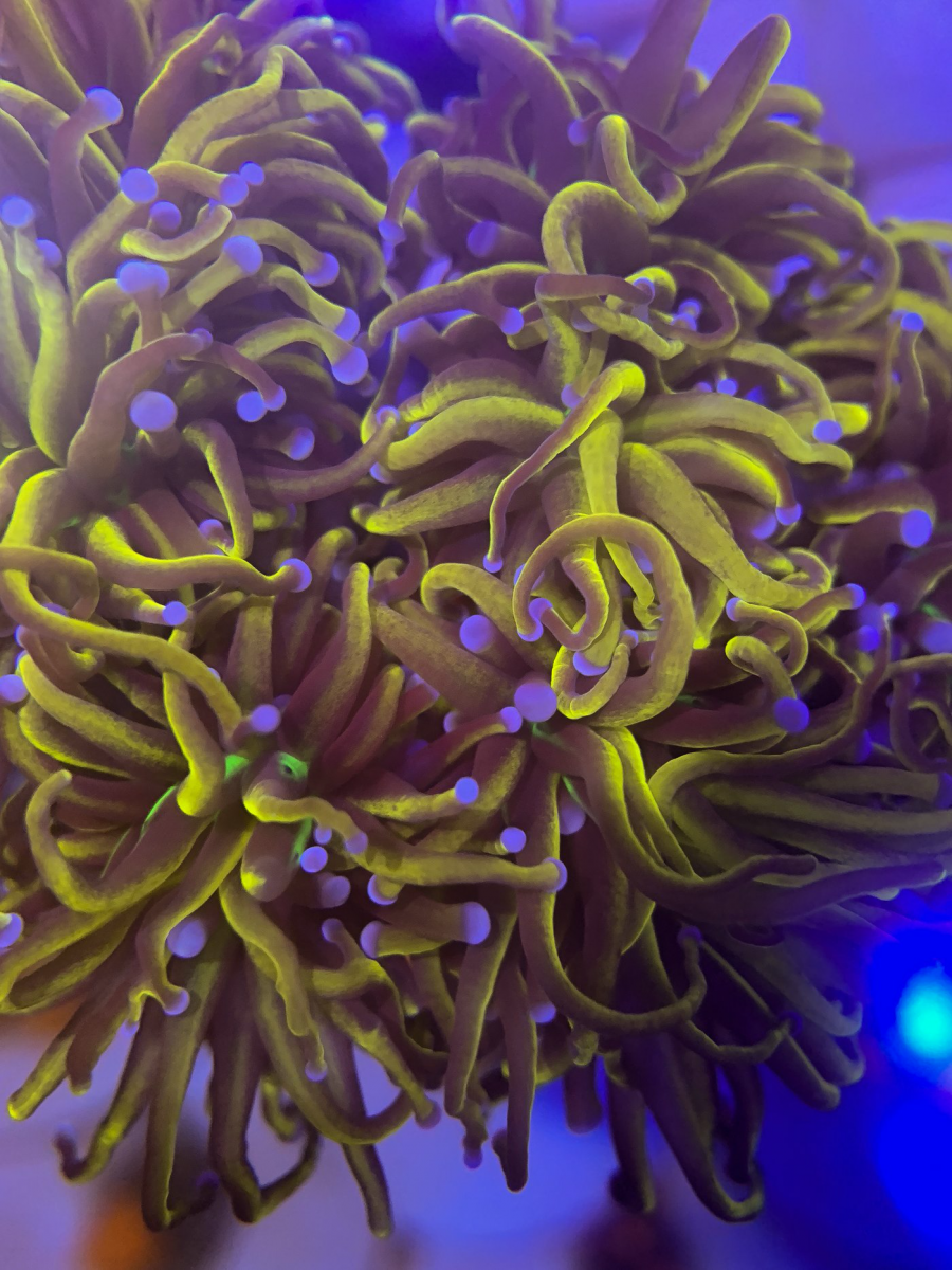 1600119259718.png