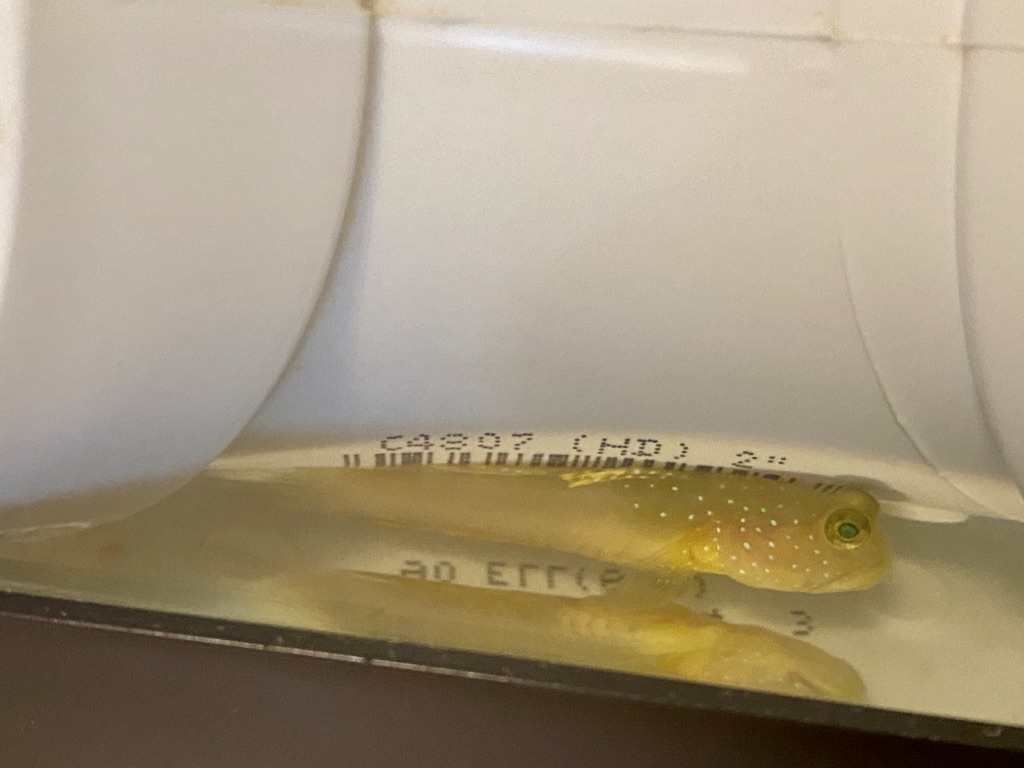 1601559510497.jpeg