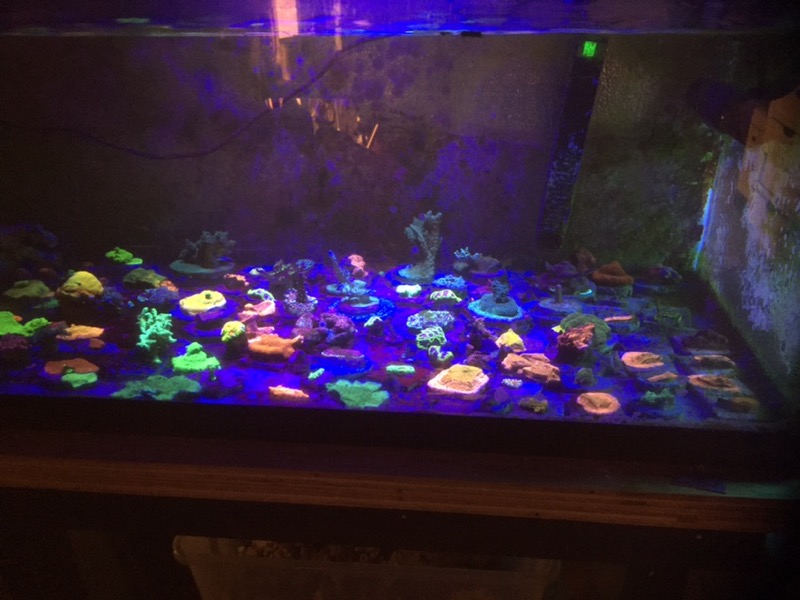 1602791812208.jpeg