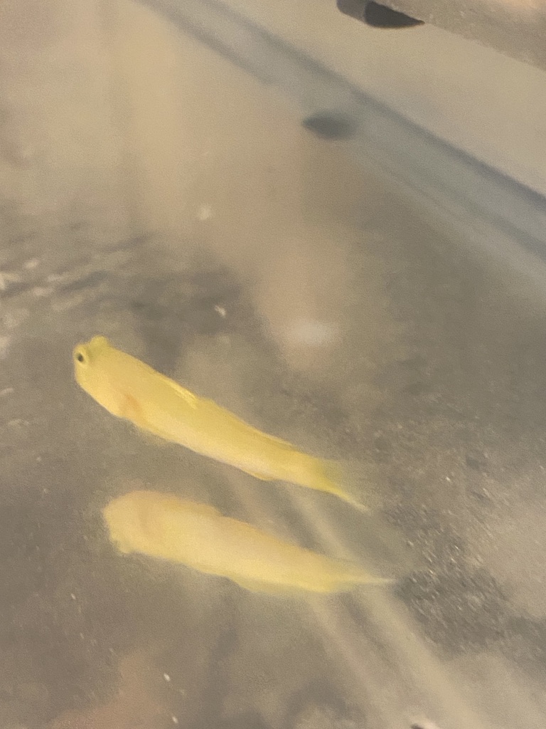 1602911309023.jpeg