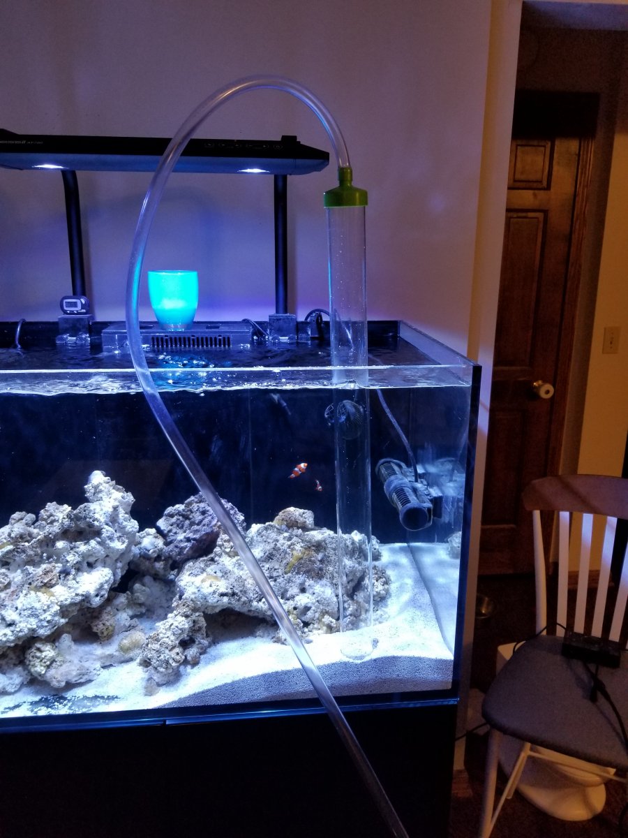 Recycling Water when Vacuuming Sand Bed  REEF2REEF Saltwater and Reef  Aquarium Forum