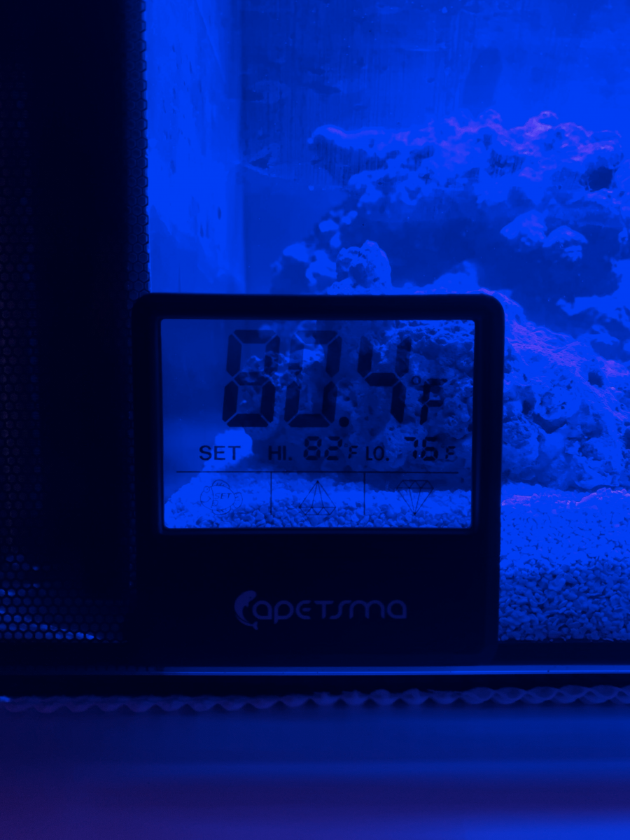 1605548710777.png