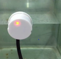 Contactless level sensor for APEX | REEF2REEF Saltwater and Reef ...