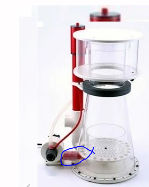 New to reefing and have a question | Reef2Reef
