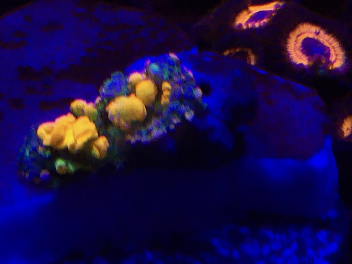 1607628010634.jpeg