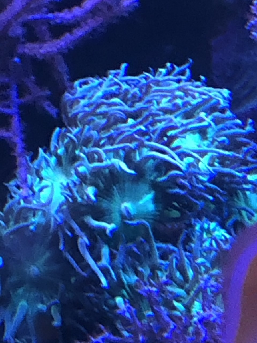 1609018420732.png