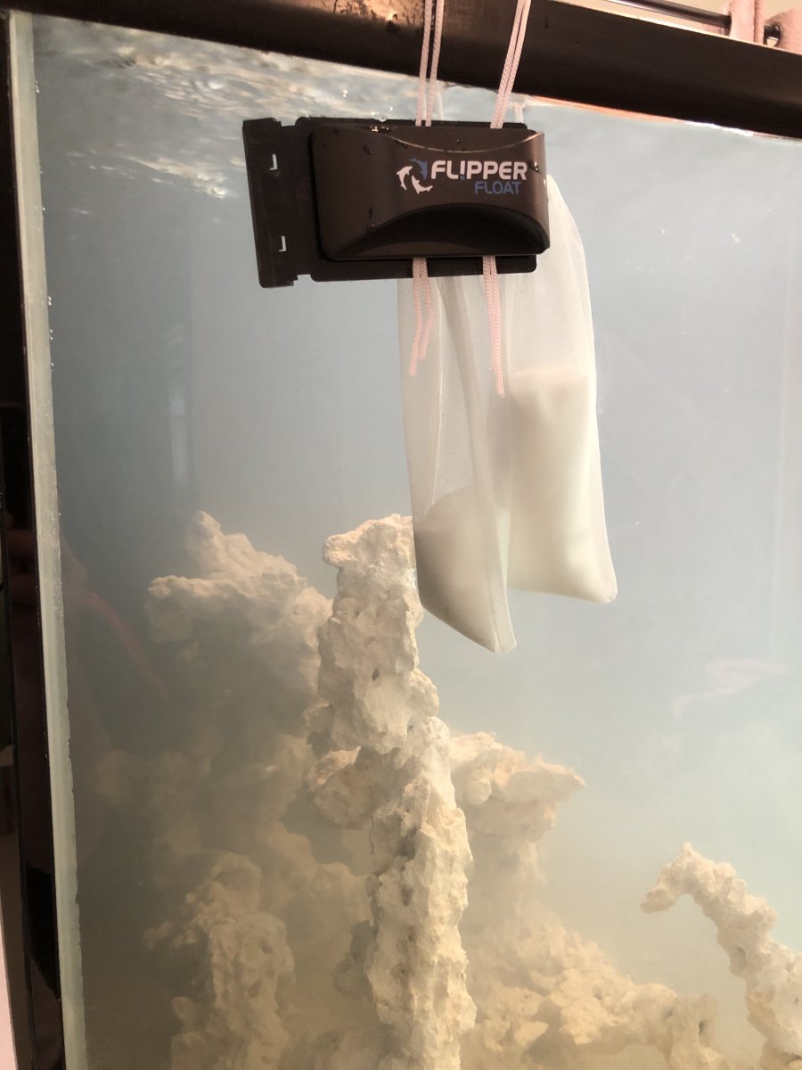 1610937754562.jpeg
