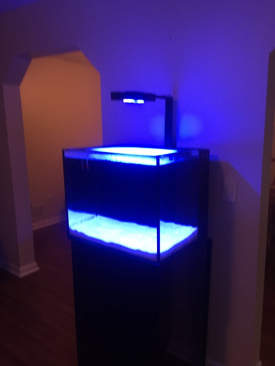 1611084451028.jpeg