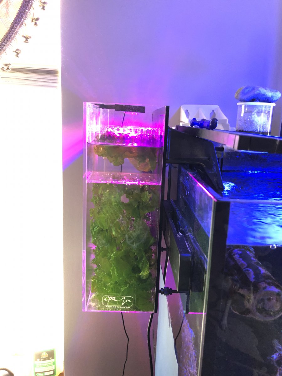 1611088585135.jpeg