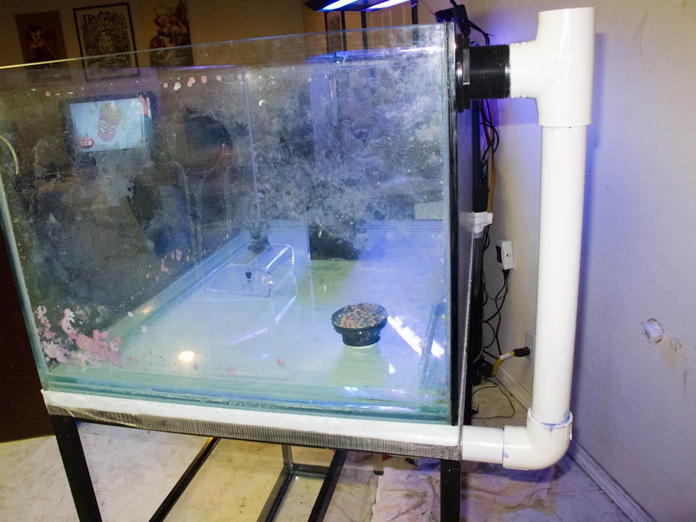 DIY external back overflow am I underestimating this REEF2REEF
