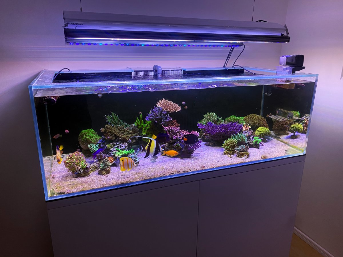 5ft aquarium on sale light
