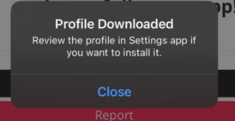 1617328493582.png