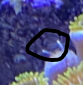 1622751582120.png