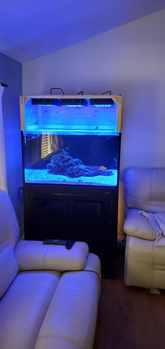 How many of you have a build thread going? Post your favorite photo of ...