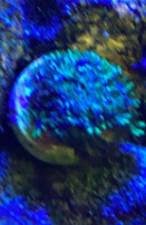 1628096171194.png