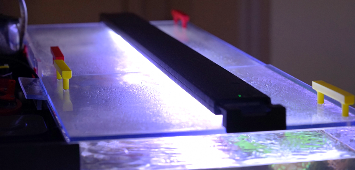 Build Thread - Snowflake Eel Reef Tank Build | Reef2Reef