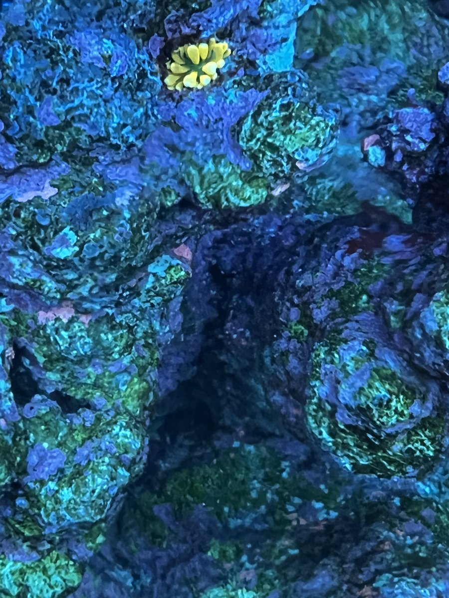 1639238478745.png