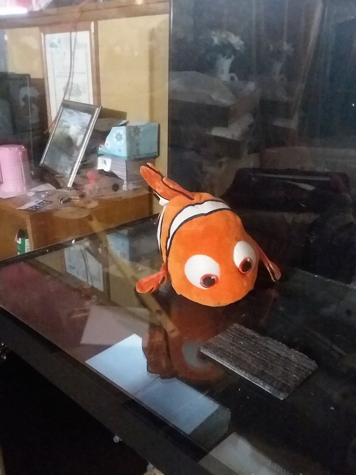 1640906654070.jpeg