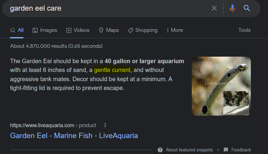 Garden eel care top