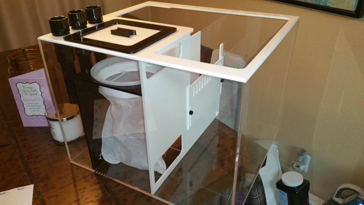 1647472297581.jpeg