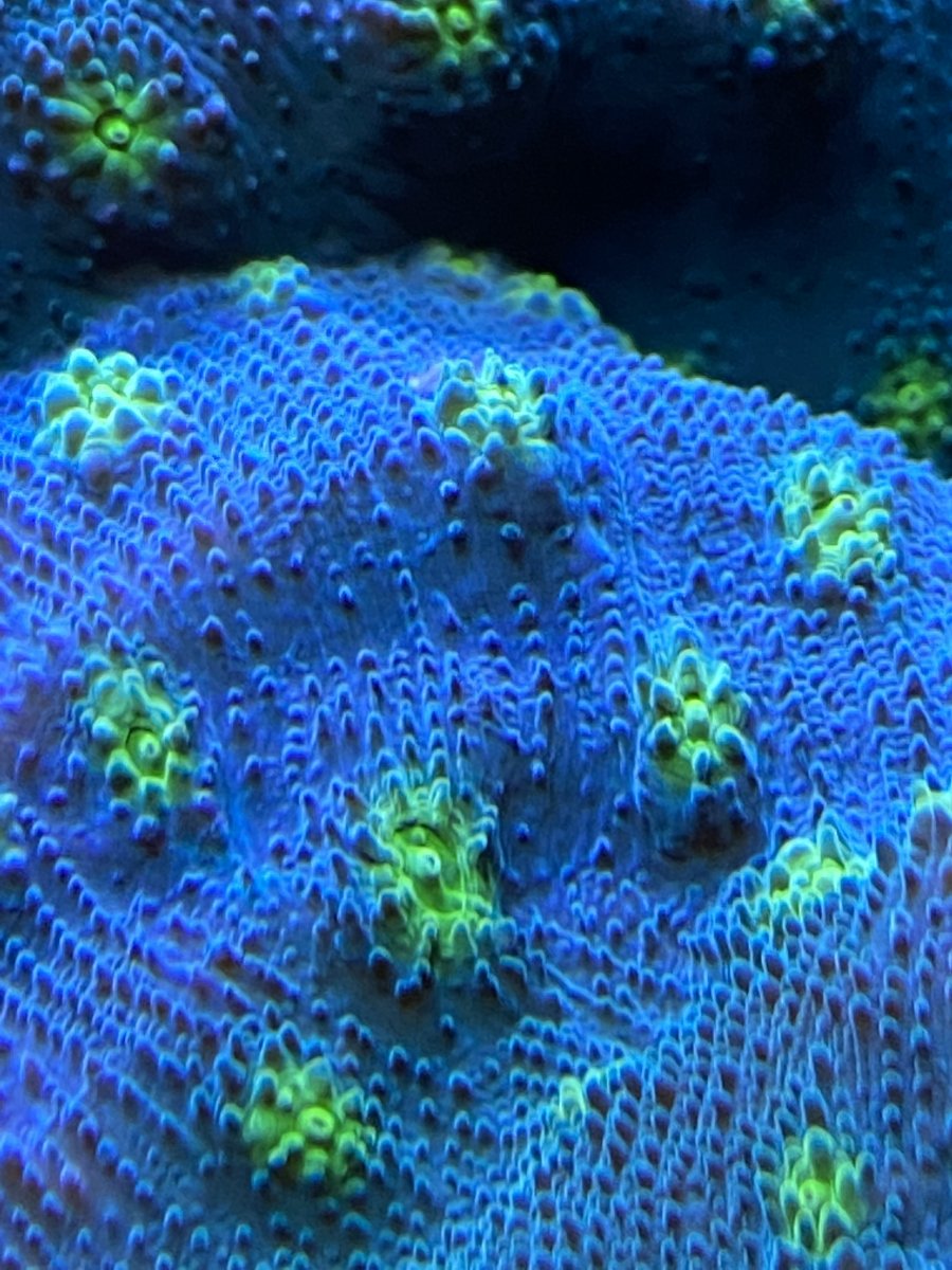 164875C2-37D5-4D2B-A98B-151225779B87.jpeg