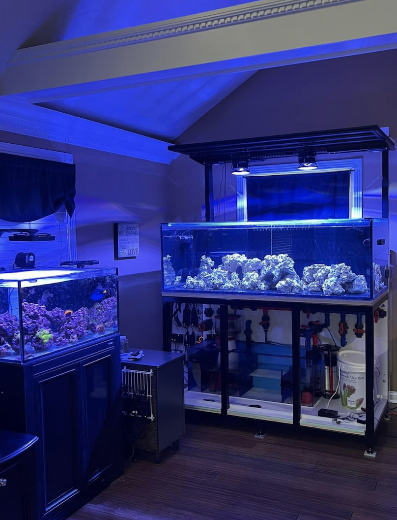 We'd love to show off your tank (and tag you, of course!) on our social ...