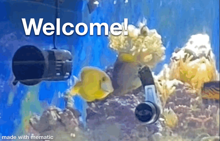 1658489040044.gif