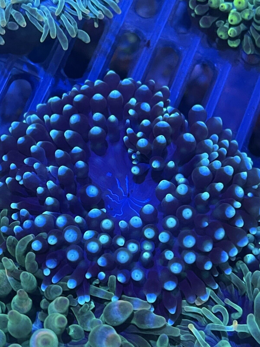 1658857910884.png