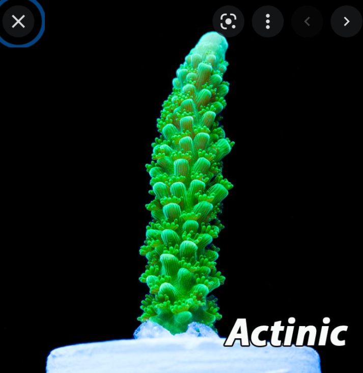 1658875597490.png