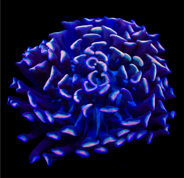 1658879586518.png