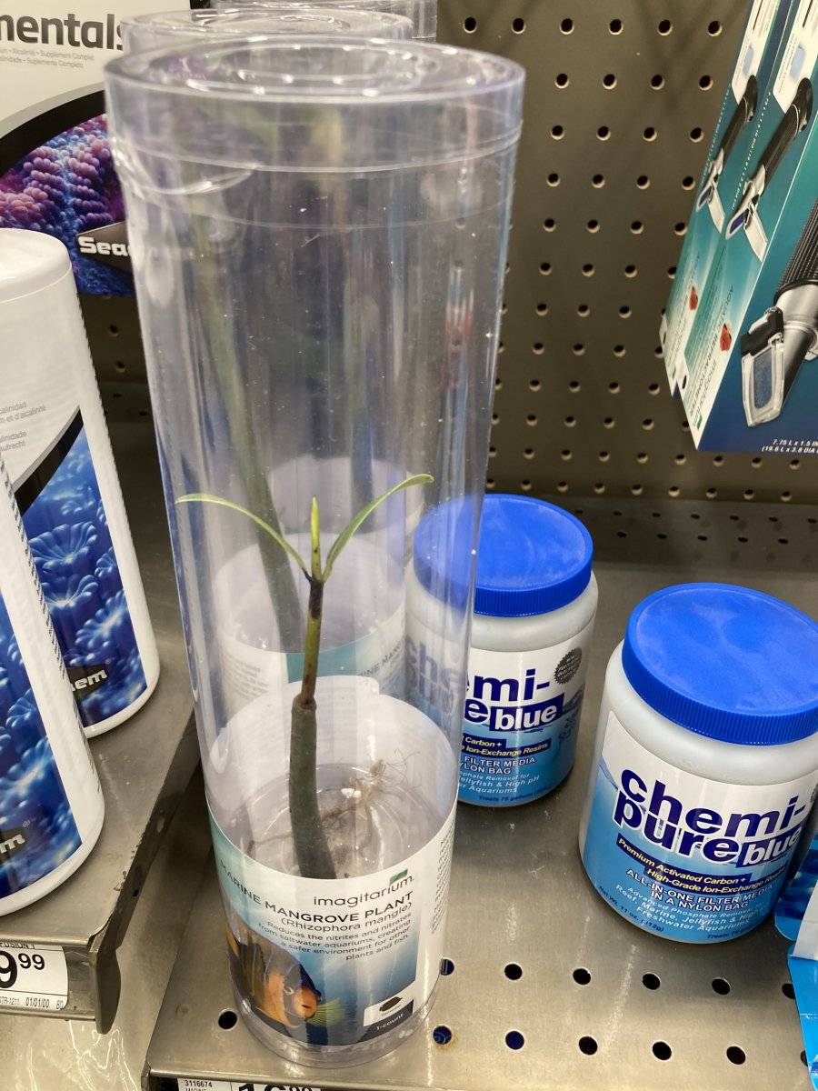 Petco jellyfish deals