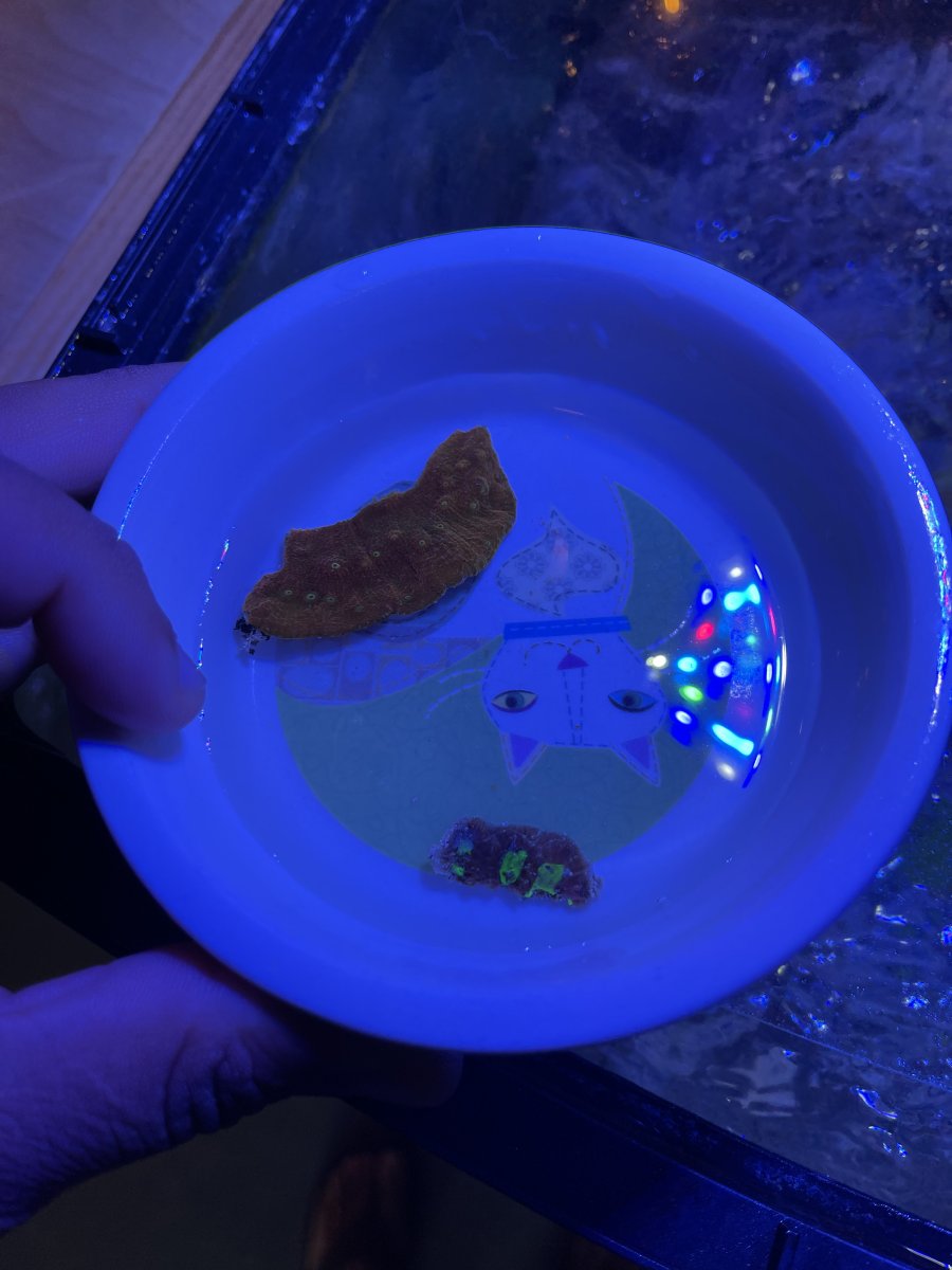 1660951434891.jpeg