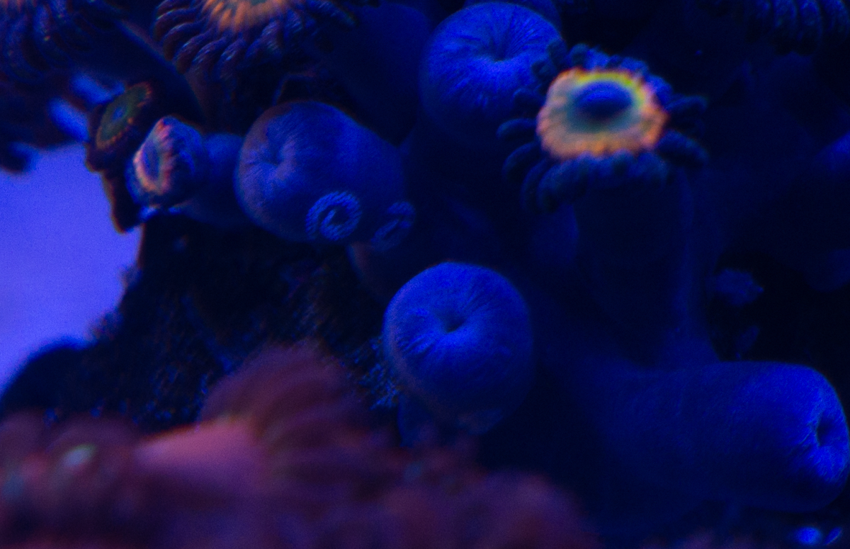 1662003065097.png