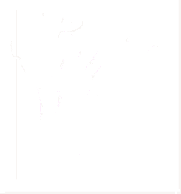 1664645949684.gif