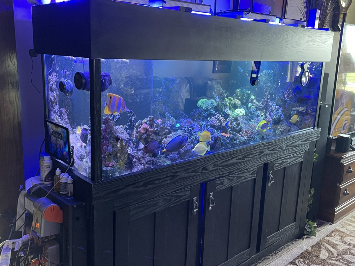 Wisconsin Aquariums Drygoods Oceanic deluxe 135g 1+year of use