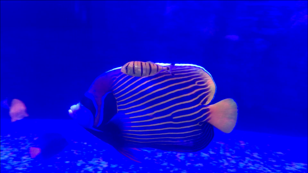 1670127948237.png